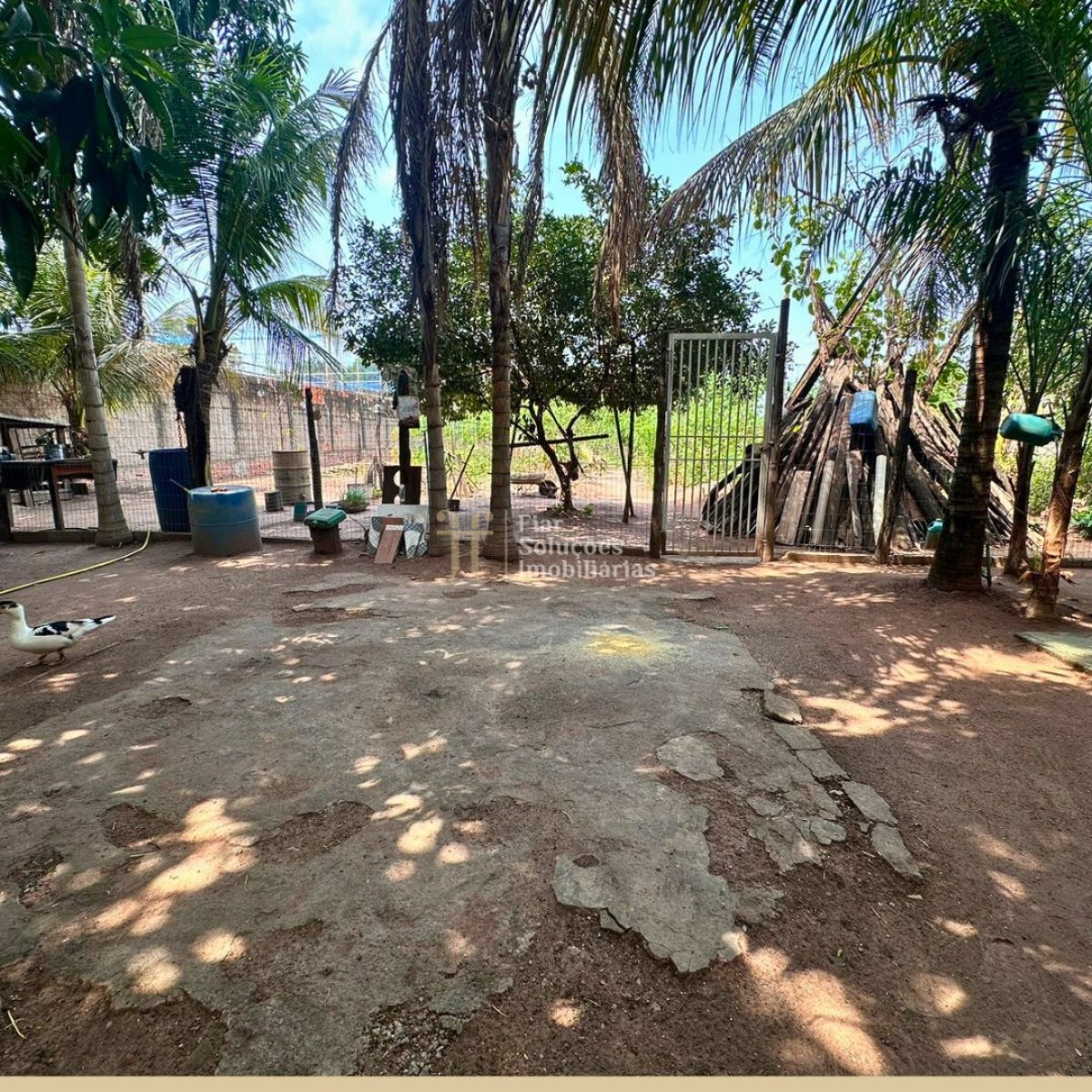 Fazenda à venda com 3 quartos, 345m² - Foto 6