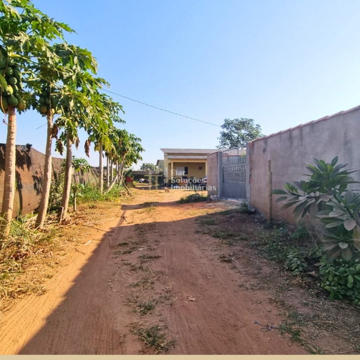 Fazenda à venda com 8 quartos, 600m² - Foto 7