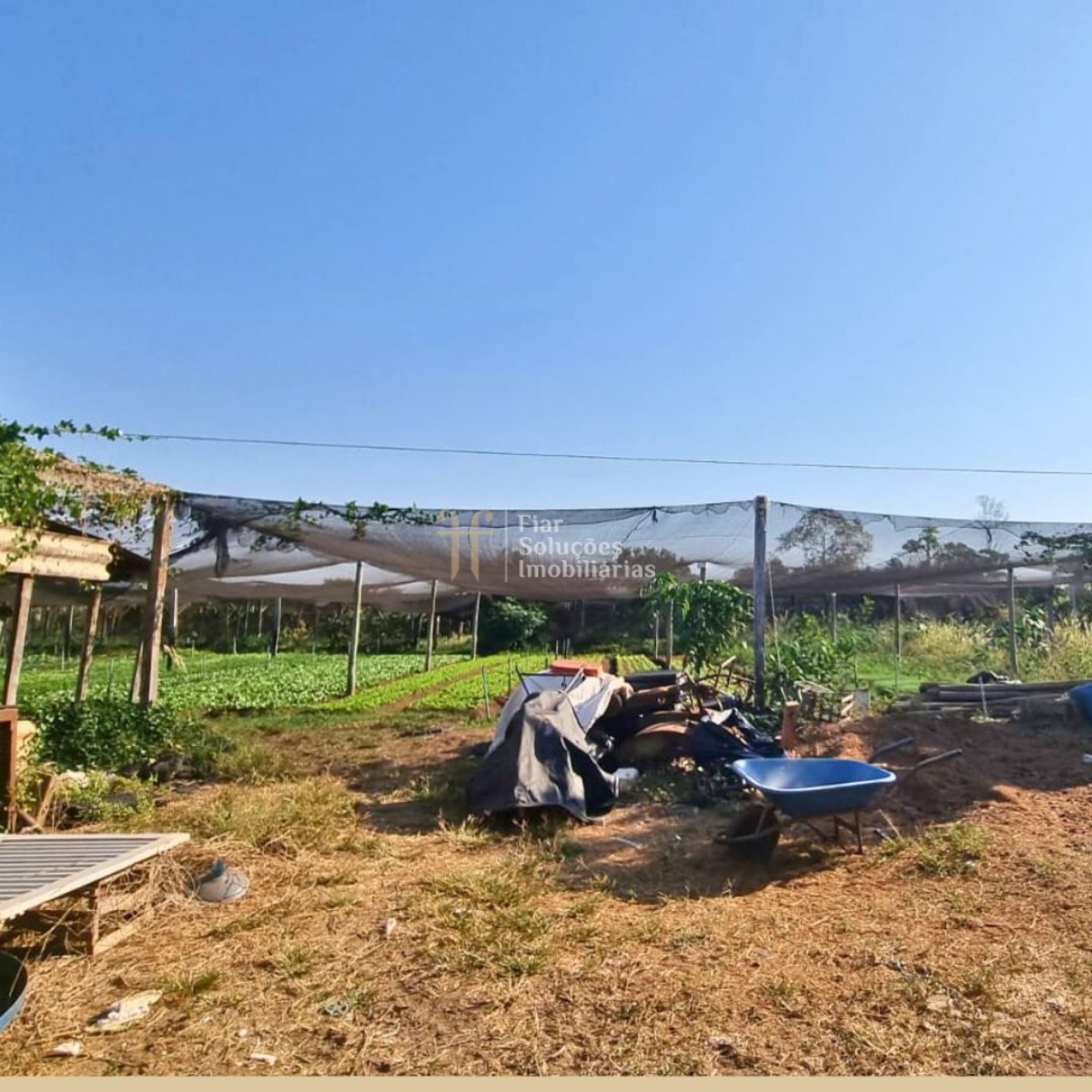 Fazenda à venda com 8 quartos, 600m² - Foto 4