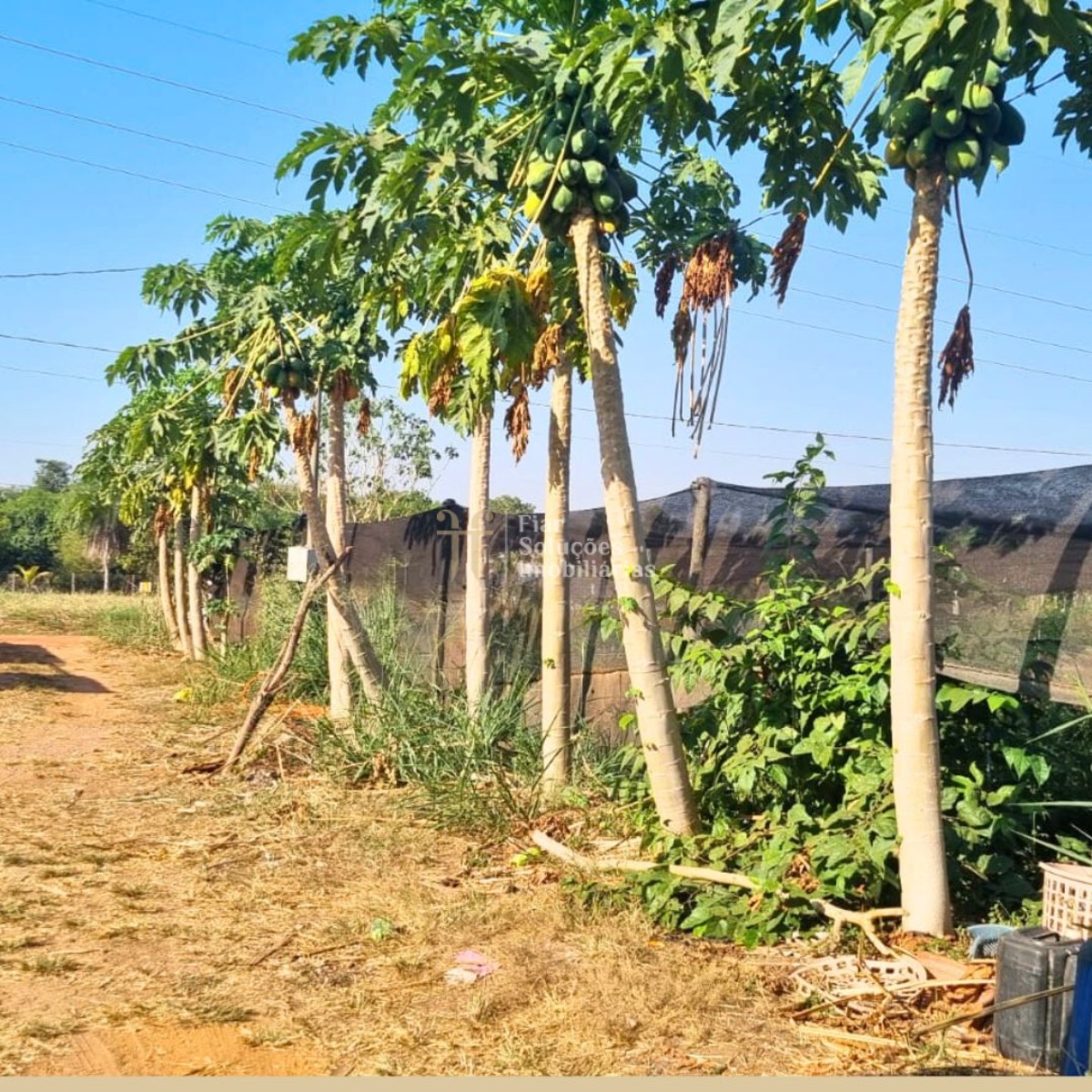 Fazenda à venda com 8 quartos, 600m² - Foto 6