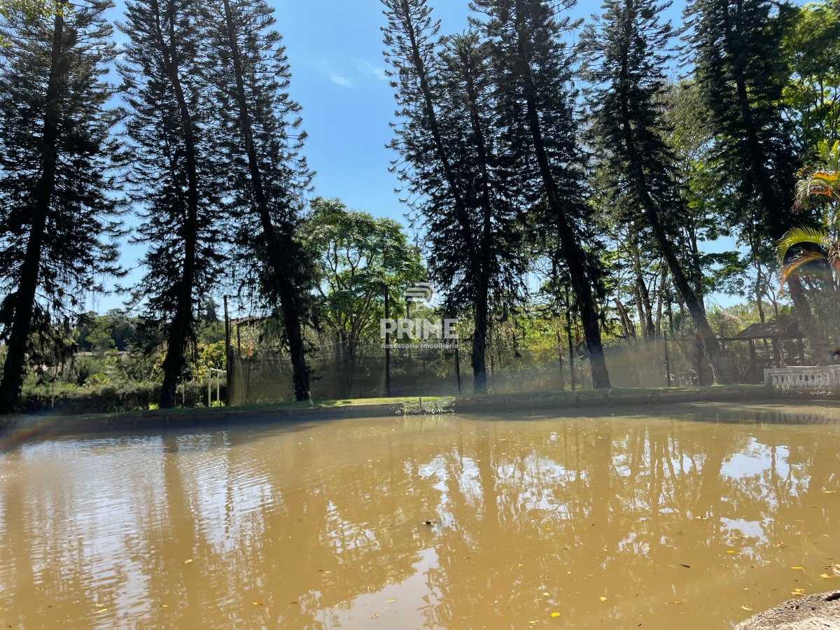 Fazenda à venda com 5 quartos, 300m² - Foto 5