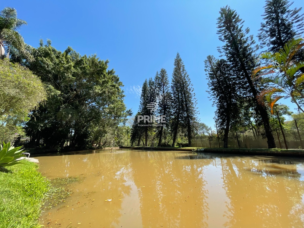 Fazenda à venda com 5 quartos, 300m² - Foto 6