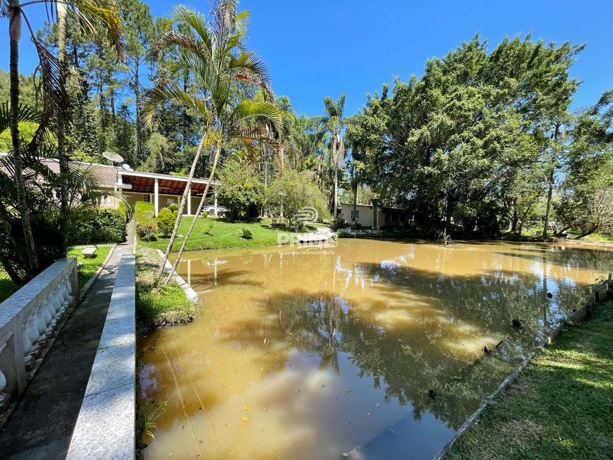 Fazenda à venda com 5 quartos, 300m² - Foto 3