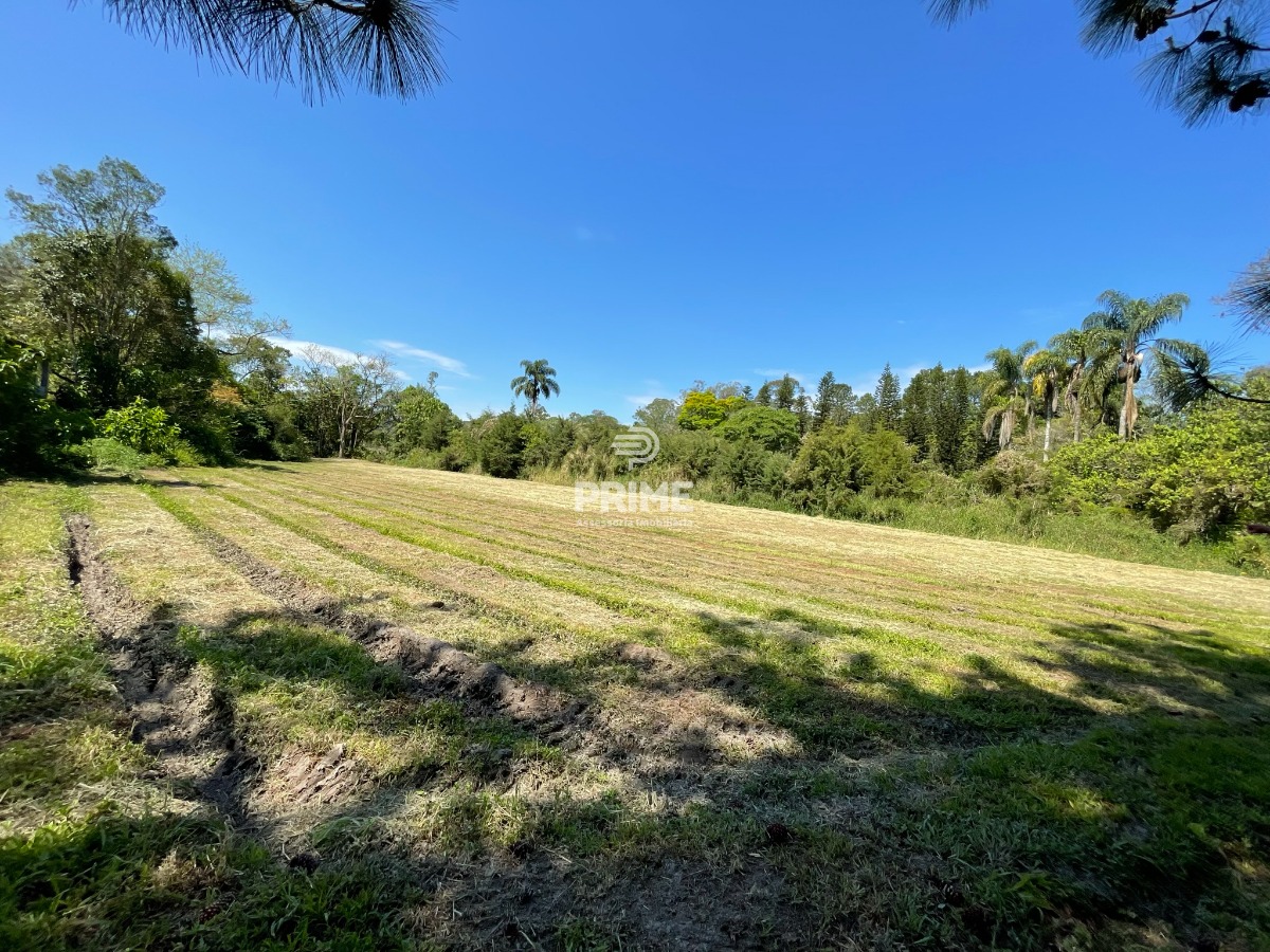 Fazenda à venda com 5 quartos, 300m² - Foto 59