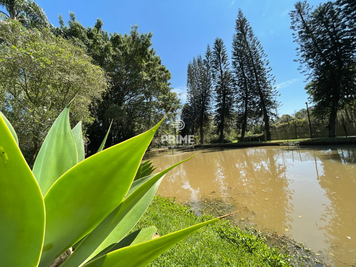 Fazenda à venda com 5 quartos, 300m² - Foto 55