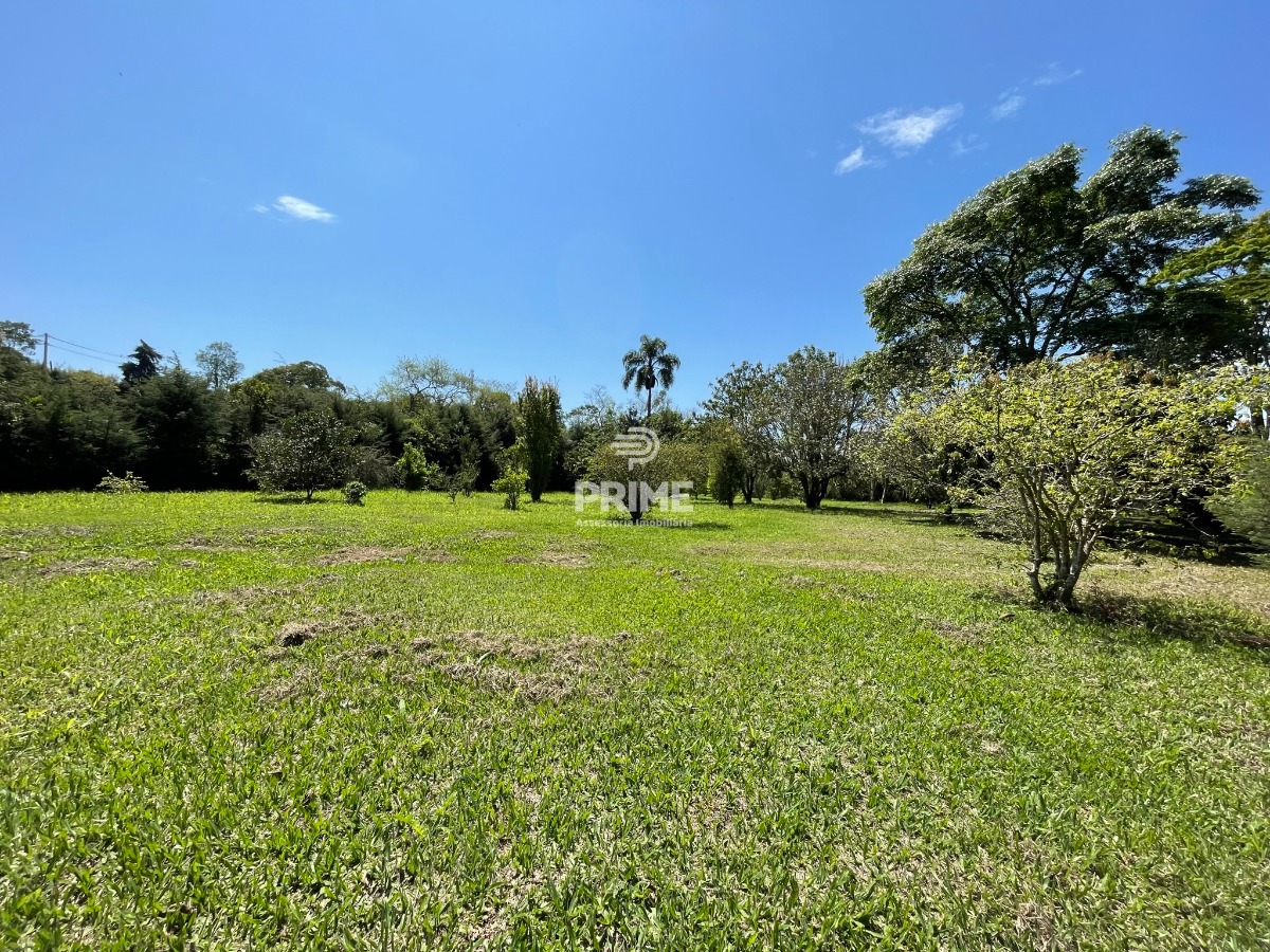 Fazenda à venda com 5 quartos, 300m² - Foto 12