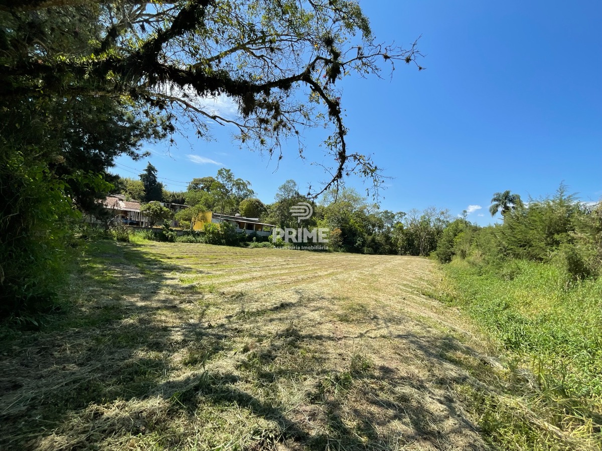 Fazenda à venda com 5 quartos, 300m² - Foto 60