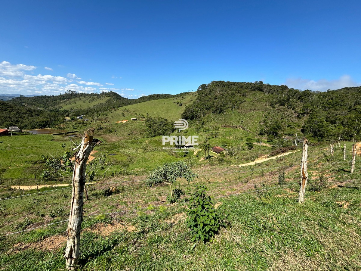 Fazenda à venda, 24000m² - Foto 3