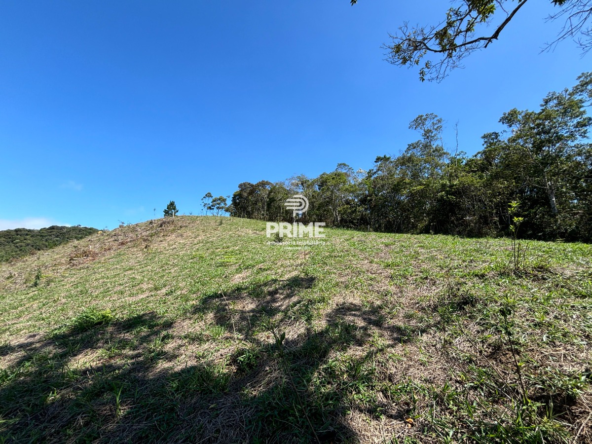 Fazenda à venda, 24000m² - Foto 4